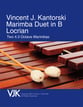 Marimba Duet in B Locrian P.O.D cover